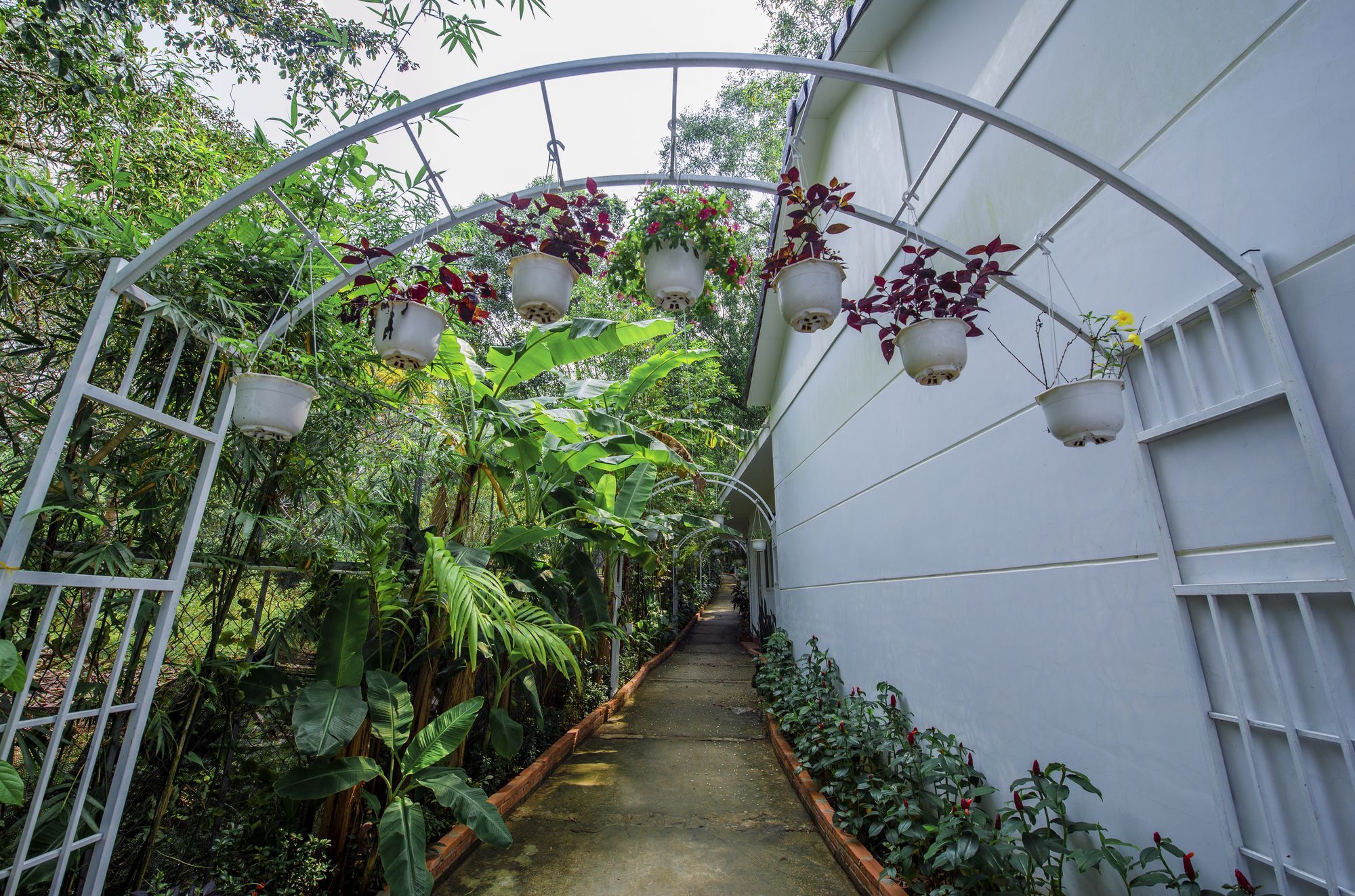 Hanh Ngoc Resort Дуонг-Донг Экстерьер фото